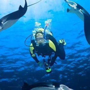 Buceo para Principiantes en San Andrés