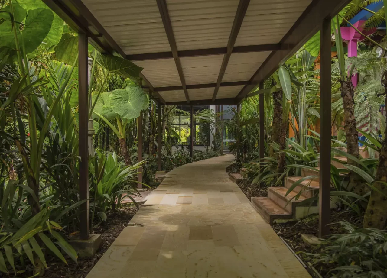 hotel termales del otoño 1