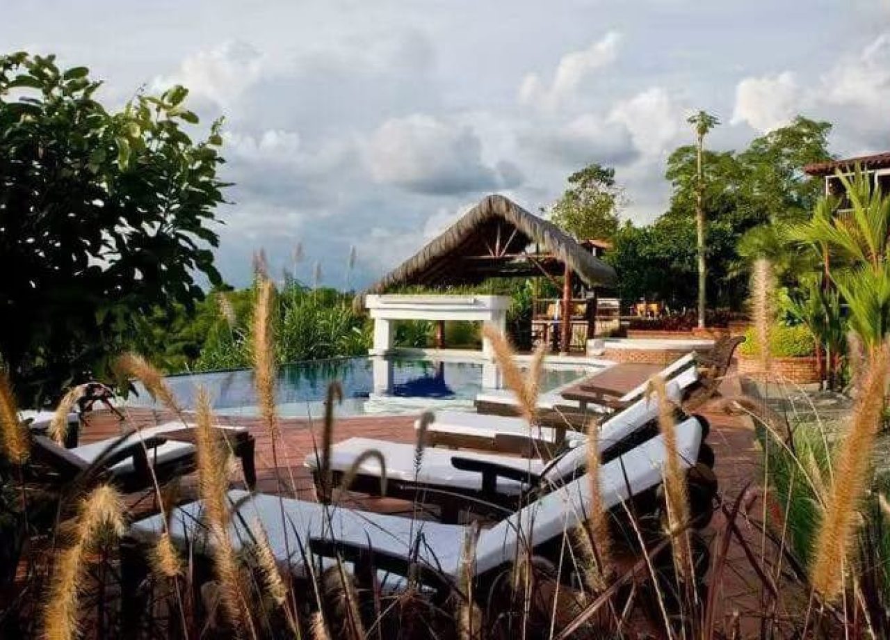 imagen_2024-02-22_125507457