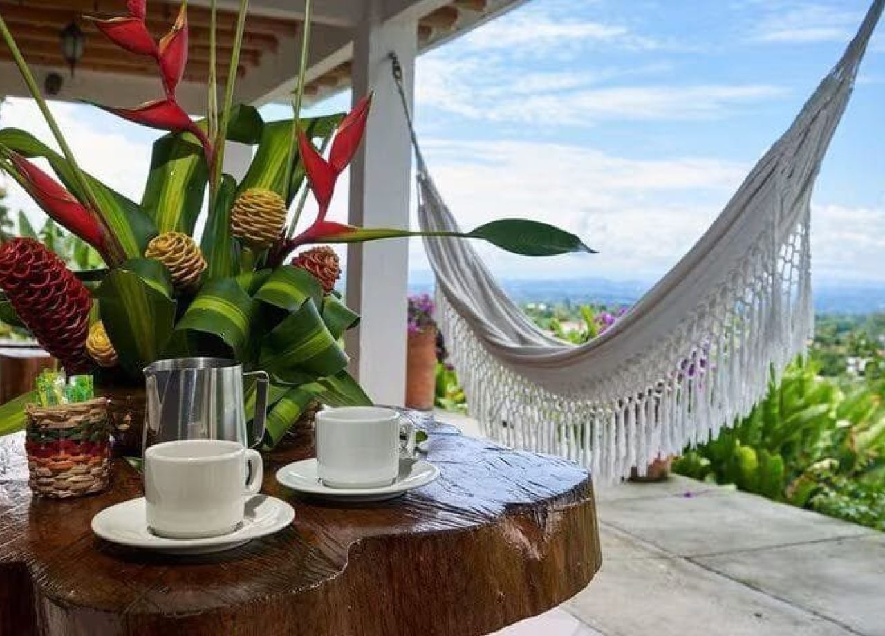 imagen_2024-02-22_125548940