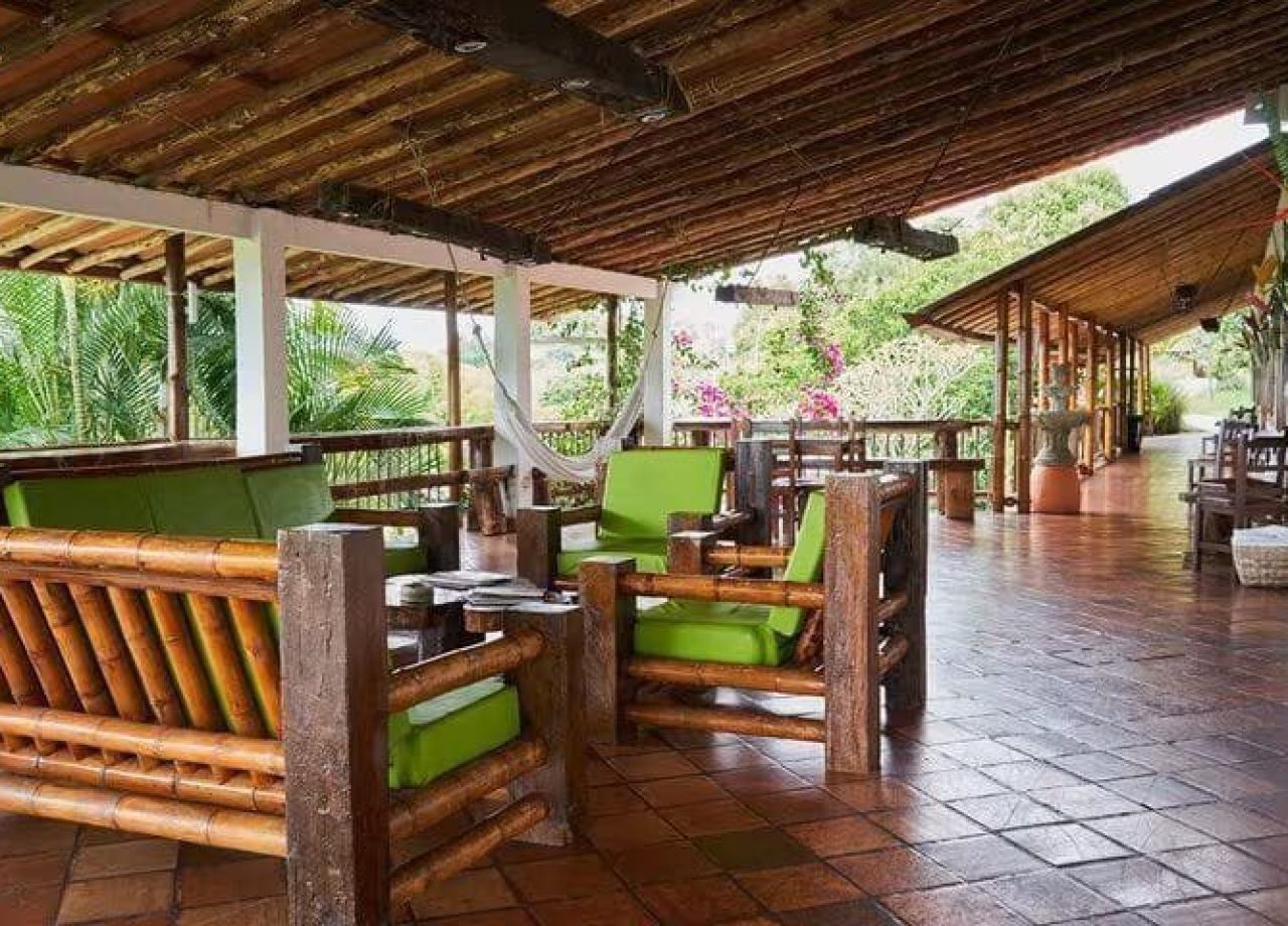 imagen_2024-02-22_125603562