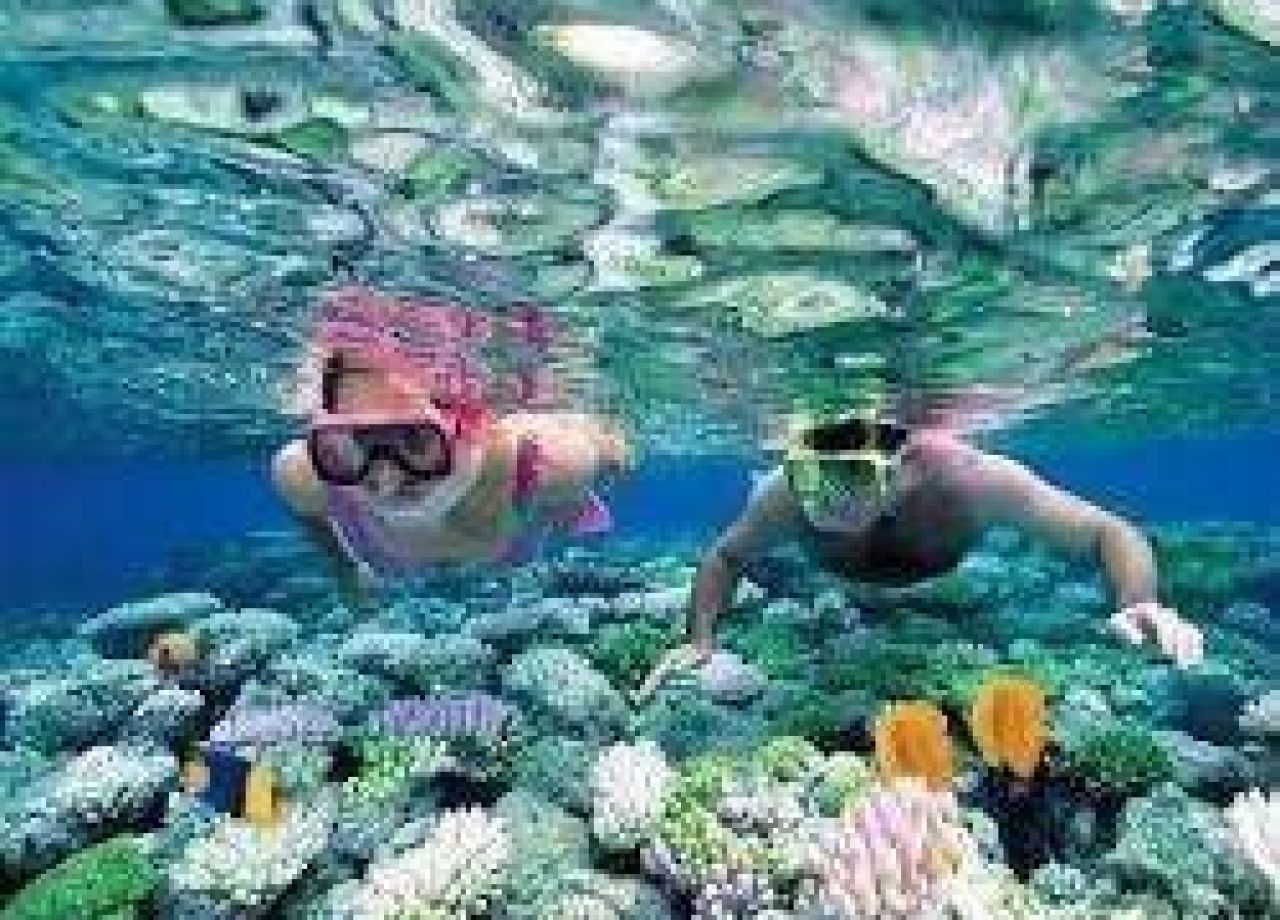 snorkel-mar-san-andres